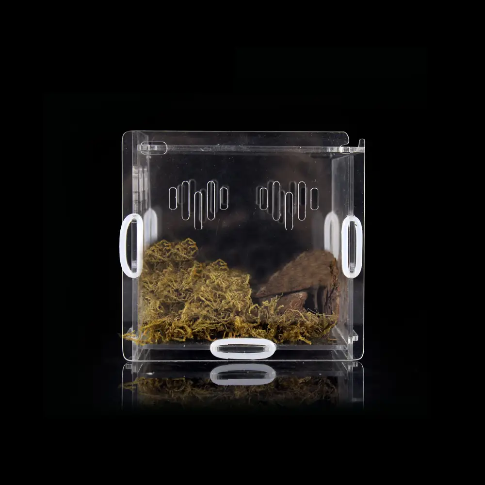 TerraNova Pod - Arachnid's Den