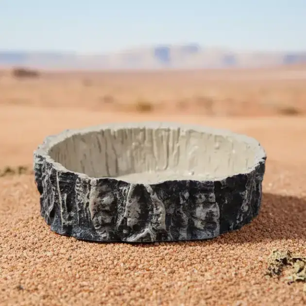 TerraDish - Tree Stump Bowl