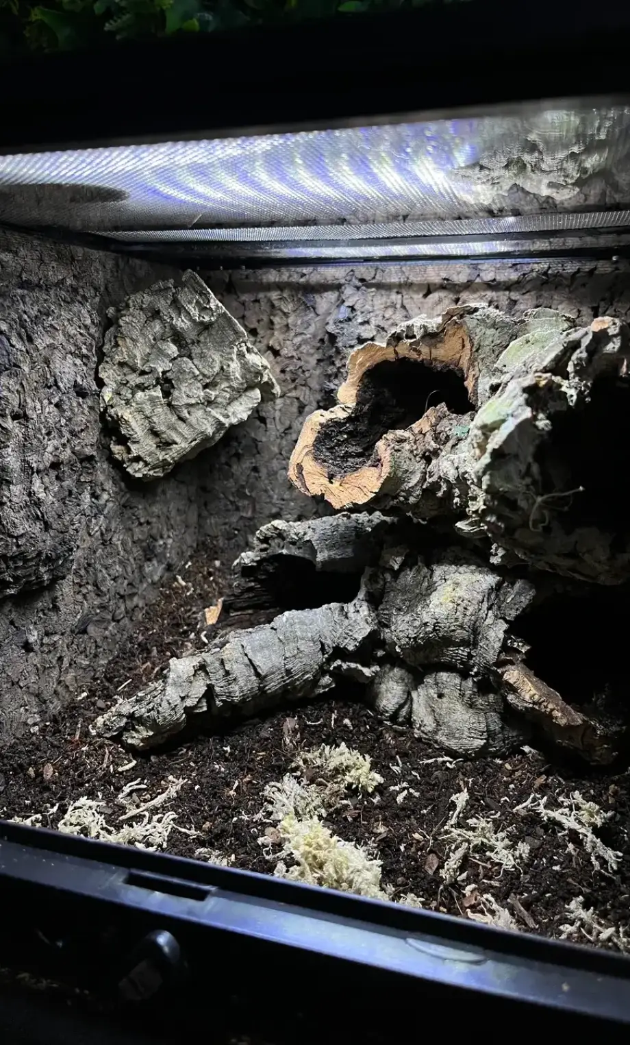 exoterra-30x30x30-v0-8evr4bkr0uve1